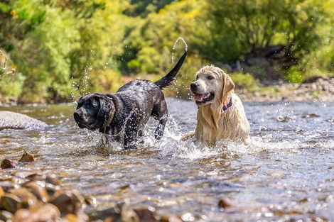 Photo of property in 64c Kaitoke Waterworks Road, Kaitoke, Upper Hutt, 5018