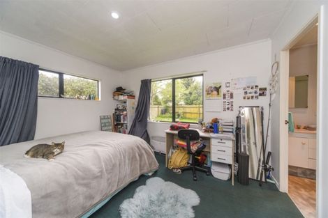 Photo of property in 19 Ashton Place, Highbury, Palmerston North, 4412