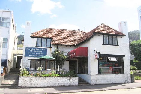 Photo of property in 115 Molesworth Street, Thorndon, Wellington, 6011