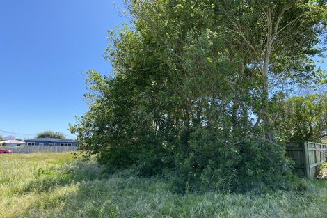 Photo of property in 17 Thomas Place, Foxton Beach, Foxton, 4815