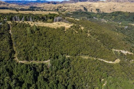 Photo of property in 253 Mount Lyford Forest Drive, Lyford, Waiau, 7395