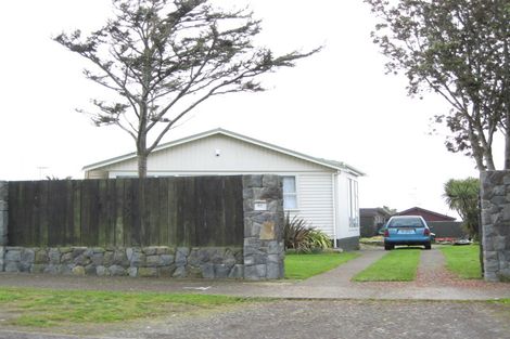 Photo of property in 40 Hume Street, Waitara, 4320