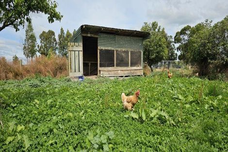 Photo of property in 87 Robertson Street, Upper Charlton, Gore, 9710