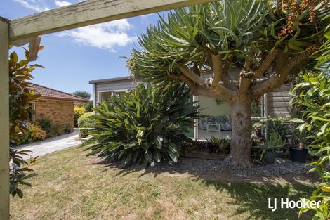 Photo of property in 127 Koutunui Road, Athenree, Katikati, 3177