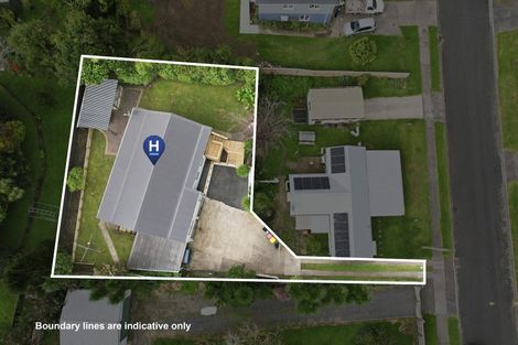 Photo of property in 10a Nahum Street, Paeroa, 3600