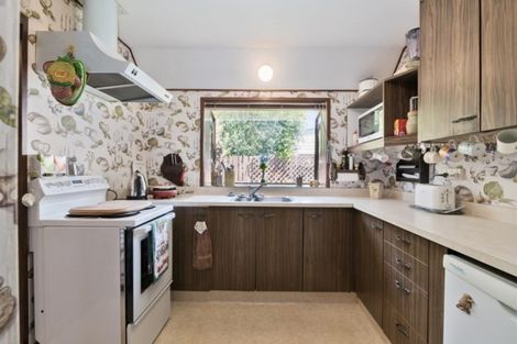 Photo of property in 52b Te Awe Awe Street, Hokowhitu, Palmerston North, 4410