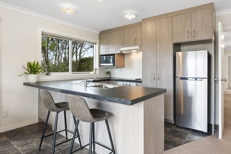 Photo of property in 3b Upham Terrace, Roslyn, Palmerston North, 4414