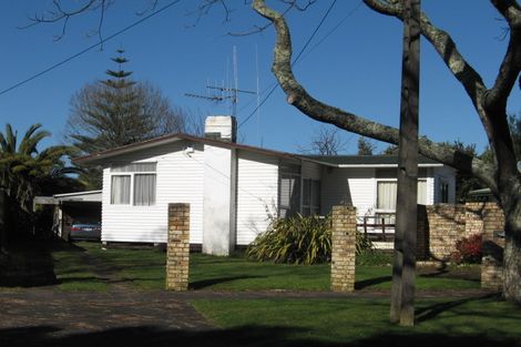 Photo of property in 106 Brookfield Street, Hamilton East, Hamilton, 3216