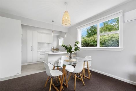 Photo of property in 101 Domain Terrace, Spreydon, Christchurch, 8024