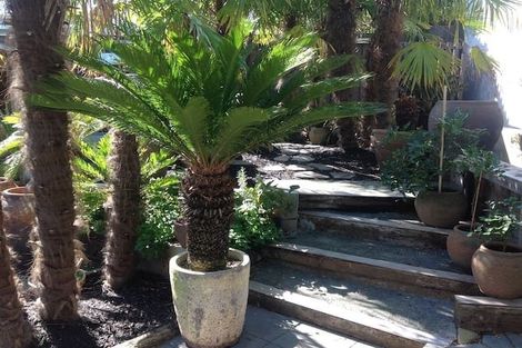 Photo of property in 10 Sheehan Street, Ponsonby, Auckland, 1011