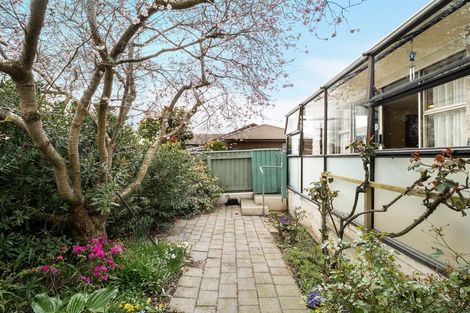 Photo of property in 235c Bay View Road, Saint Clair, Dunedin, 9012