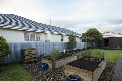 Photo of property in 3 Stobo Street, Grasmere, Invercargill, 9810