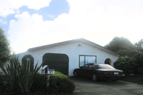 Photo of property in 115 Tremaine Avenue, Westbrook, Palmerston North, 4412