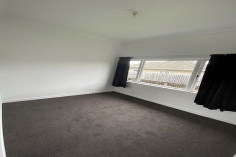 Photo of property in 19 Carey Street, Maeroa, Hamilton, 3200