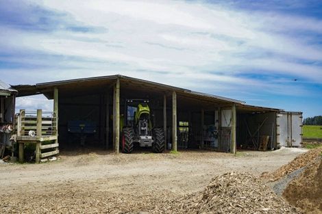 Photo of property in 306 Ferry Road, Waltham, Christchurch, 8011