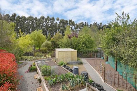 Photo of property in 426 Collins Road, Springston, Christchurch, 7674