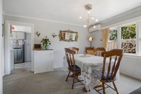 Photo of property in 99 Parry Palm Avenue, Waihi, 3610