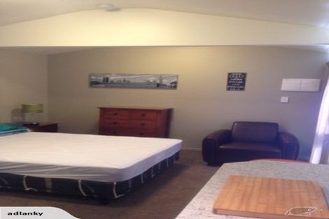 Photo of property in 44 Olliviers Road, Phillipstown, Christchurch, 8011