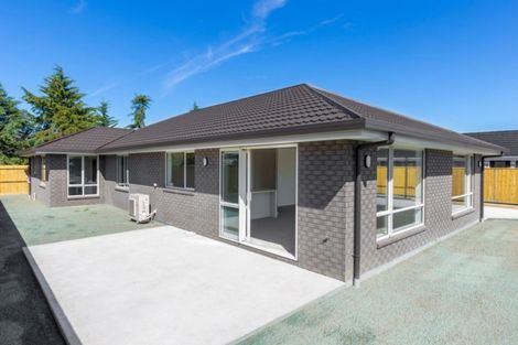 Photo of property in 134 Turnbull Drive, Witherlea, Blenheim, 7201