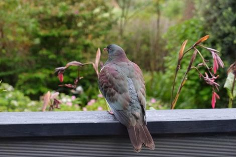Photo of property in 28 Nikau Heights, Little Wanganui, Karamea, 7893