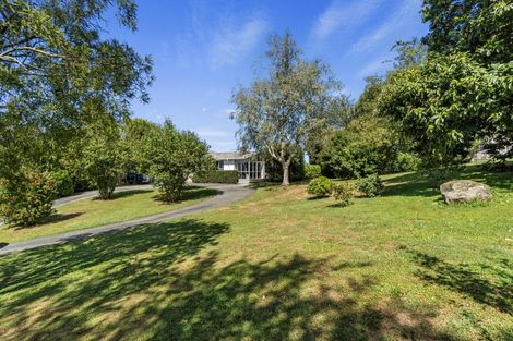 Photo of property in 59 Whites Road, Putaruru, 3483