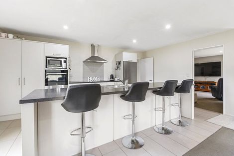 Photo of property in 93 Mount Grey Road, Loburn, Rangiora, 7472