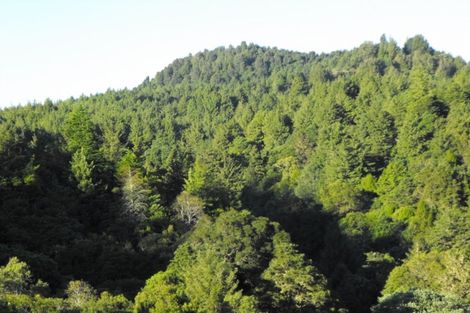 Photo of property in 1979 Ongarue Stream Road, Waimiha, 3998