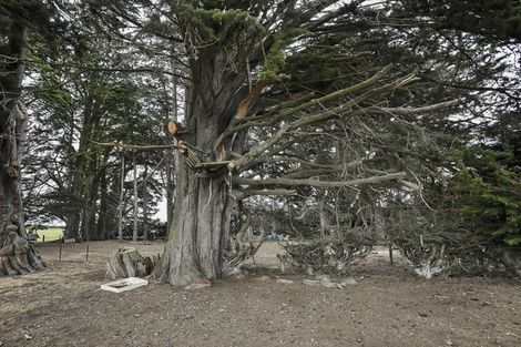 Photo of property in 1000 Lochiel-branxholme Road, Branxholme, Invercargill, 9874