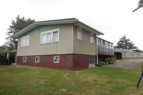 Photo of property in 29 Mawney Road, Henderson, Auckland, 0610