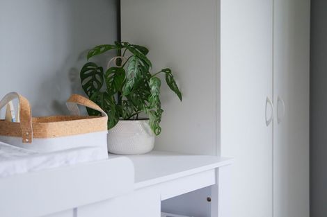 Photo of property in 45 North Taieri Road, Abbotsford, Dunedin, 9018