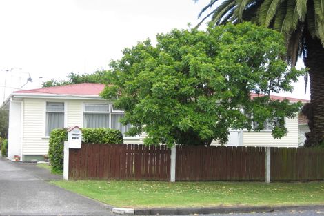 Photo of property in 118 Helvetia Road, Pukekohe, 2120