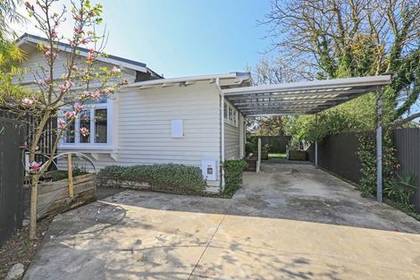 Photo of property in 113a Murdoch Road West, Raureka, Hastings, 4120