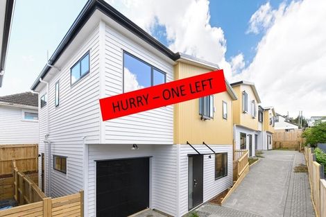 Photo of property in 38b Rogan Street, Mount Roskill, Auckland, 1041