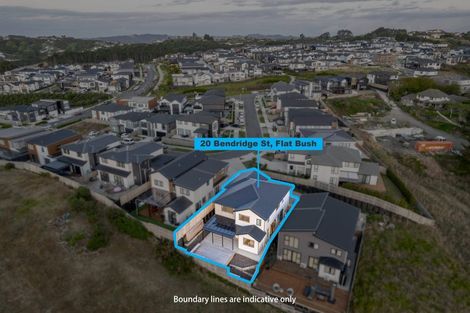 Photo of property in 20 Bendridge Street, Flat Bush, Auckland, 2019