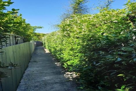 Photo of property in 1/42a Kitenui Avenue, Mount Albert, Auckland, 1025