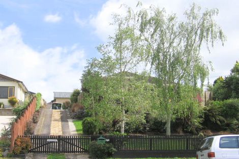 Photo of property in 173 Studholme Street, Morrinsville, 3300