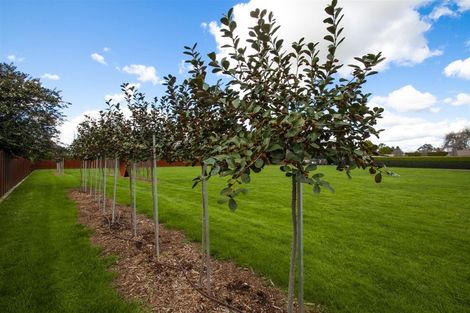 Photo of property in 9c Dalbeth Place, Matangi, Hamilton, 3284