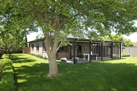 Photo of property in 103 Northwood Avenue, Mahora, Hastings, 4120