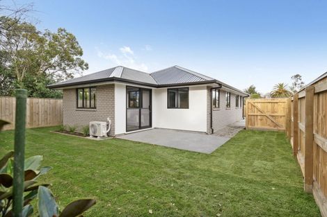 Photo of property in 22a Sussex Street, Levin, 5510