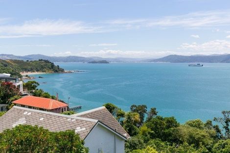 Photo of property in 9 Tai Paku Paku Road, Karaka Bays, Wellington, 6022