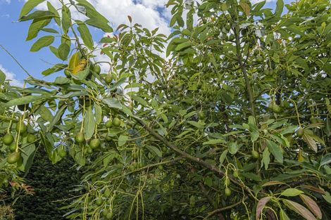 Photo of property in 161 Newton Road, Maungatapere, Whangarei, 0170