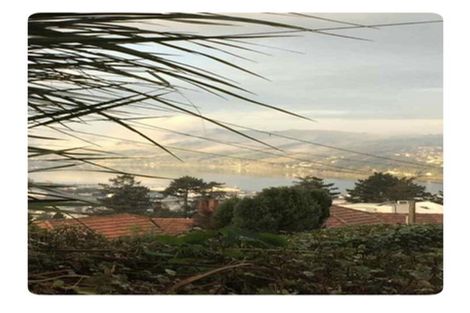 Photo of property in 22 Erin Street, Roslyn, Dunedin, 9010