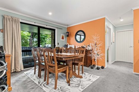 Photo of property in 49 Daniell Street, Solway, Masterton, 5810