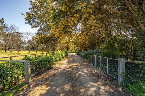 Photo of property in 328 Purchas Road, Glasnevin, Amberley, 7482