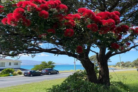 Photo of property in 4/84 Freyberg Street, Lyall Bay, Wellington, 6022