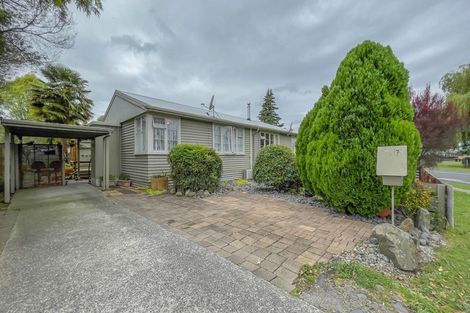 Photo of property in 157b Arapuni Street, Putaruru, 3411