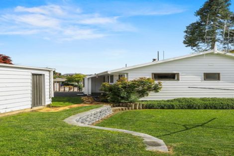 Photo of property in 59 Sinclair Terrace, Te Awamutu, 3800