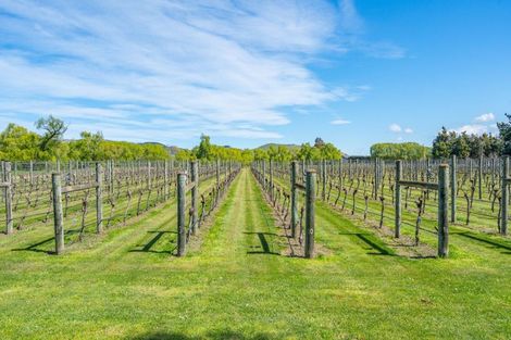 Photo of property in 1114 Omihi Road, Omihi, Amberley, 7483