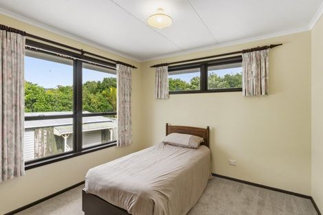 Photo of property in 74 Arapaepae Road, Levin, 5510