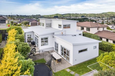 Photo of property in 20 Nelson Avenue, Aotea, Porirua, 5024